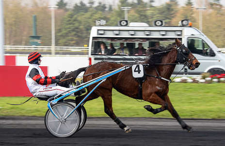 Actualités Hippiques